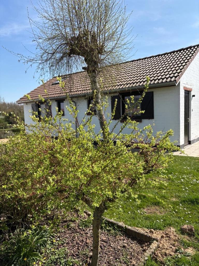 Vila Mijn Kleinhof Westouter Exteriér fotografie